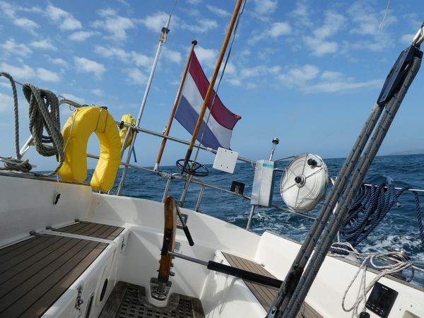 beeld 21