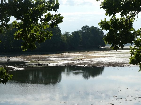 Picture10