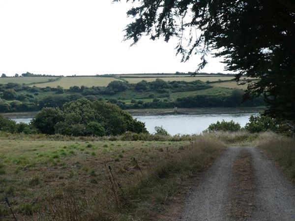 Picture19
