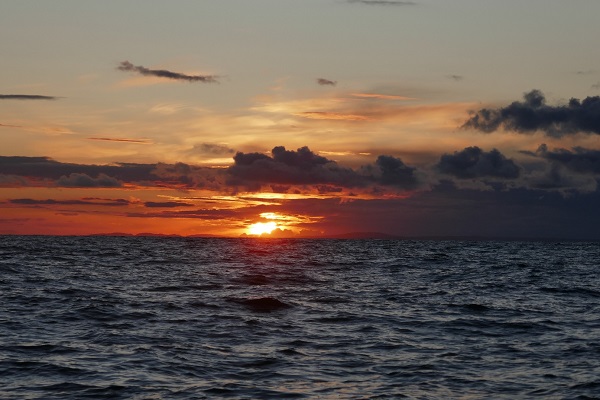 image004