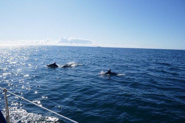 image007