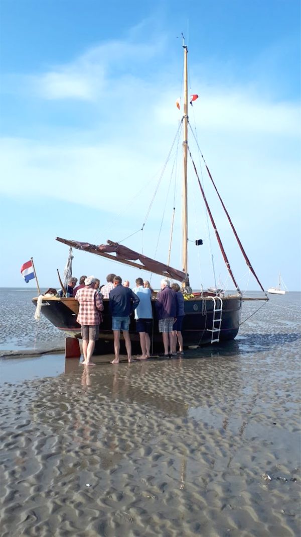 Shamrock2021 wadden zeevruchten smullen 600 pixels