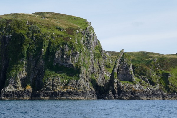 image006