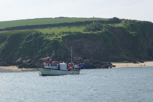 Padstow uitzicht vanaf mijn plekje aan de meerboei