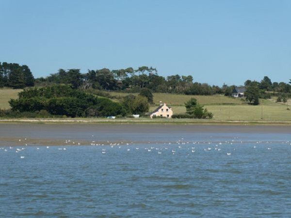 P1040697