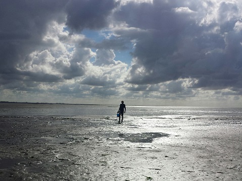 Duitse wadden Terugkeer na het oesterplukken